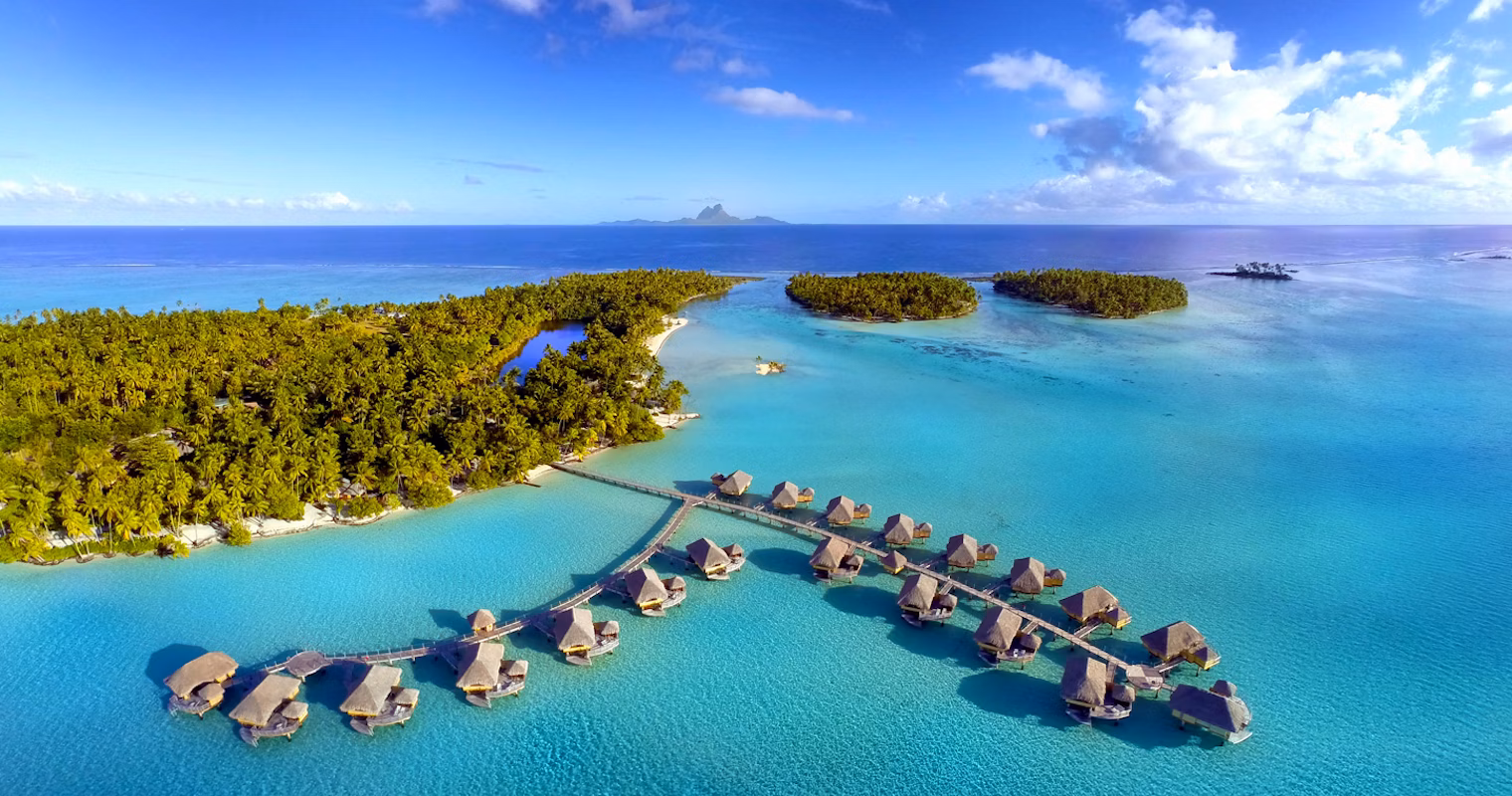 Vanilla plantation in Taha’a, French Polynesia